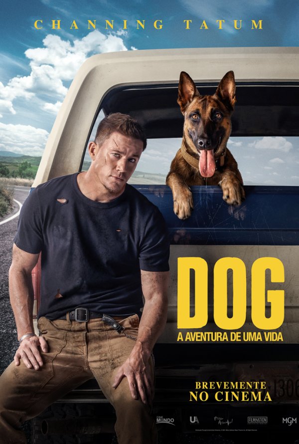 Dog A Aventura de Uma Vida Assistir Filme